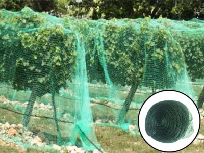 DELI Factory New High quality Dark Green HDPE Anti bird netting for Vineyard