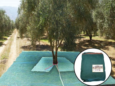 Wholesale Olive fruit Harvesting Net from DELI Factory