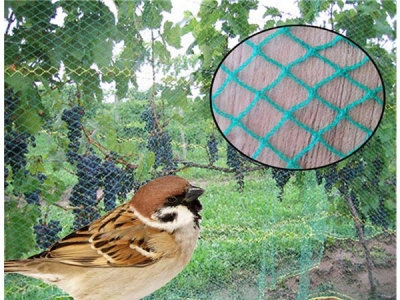 New style knitting anti bird net with Super durability