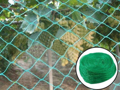 Custom/wholesale High Strength Anti-bird Mesh Orchard Protection Net