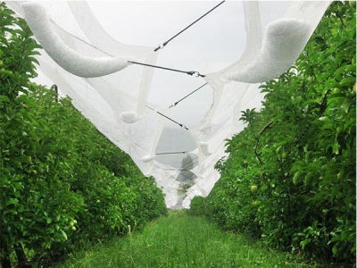2018 New custom agricultural anti hail net for orchard