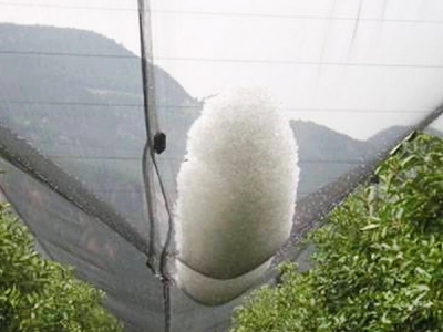 Best selling High strength anti hail net for orchard